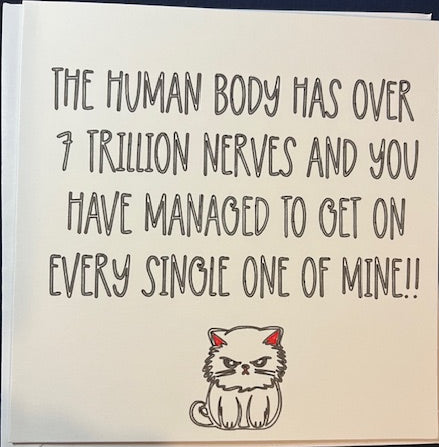 Funny, greetings card for friend, family, birthday