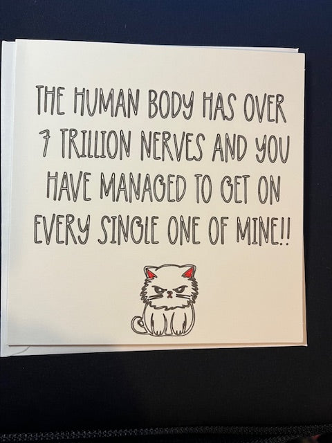 Funny, greetings card for friend, family, birthday